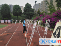 成都市第四十中學網站網址主頁