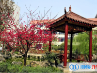 四川省崇州市蜀城中學(xué)怎么樣、好不好