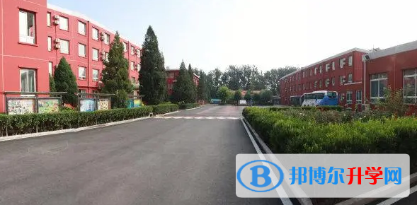  北京中關村外國語國際部2023年招生政策