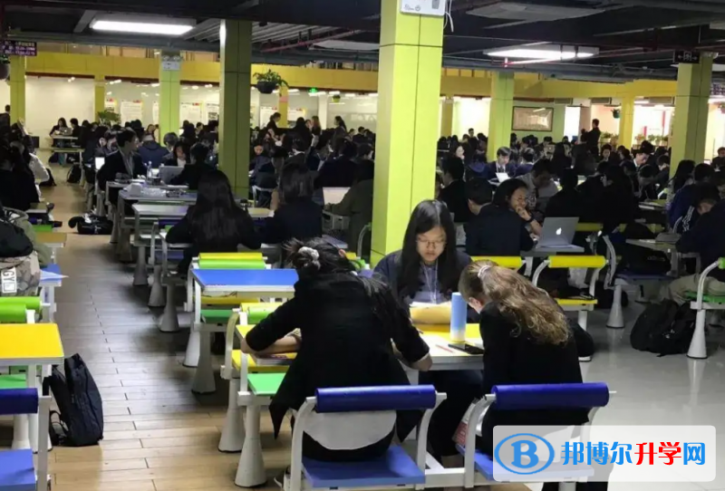  上海金蘋果雙語學校2023年錄取分數線