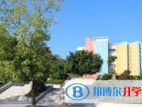 思南縣第八中學(xué)2023年招生錄取分?jǐn)?shù)線