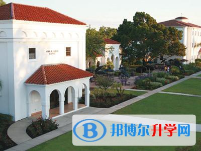 美中美育美國高中上海校區2023年課程體系