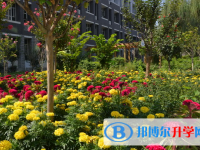 河北正定中學2022年招生錄取分數線