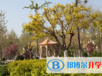 石家莊實驗中學2022年招生簡章