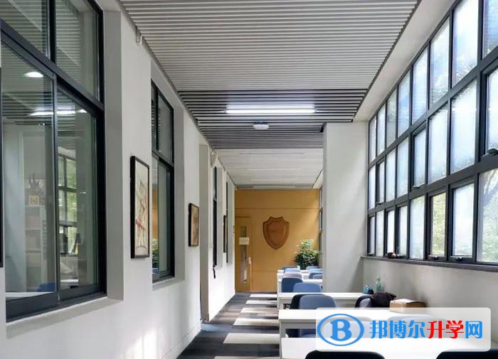 上海七寶德懷特高級中學2023年招生政策