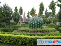 藁城市第一中學網站網址