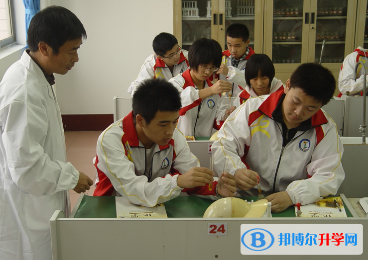 河北欒城中學(xué)2023年網(wǎng)站網(wǎng)址