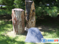 北京師范大學二附中2025年排名