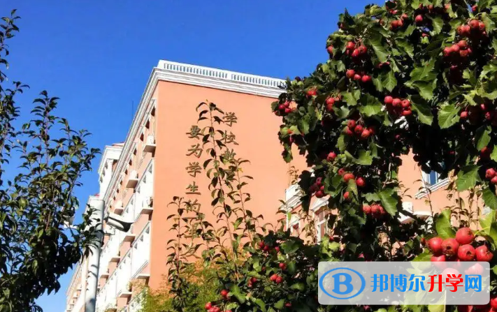 北京大興區(qū)第一中學(xué)2023年網(wǎng)站網(wǎng)址