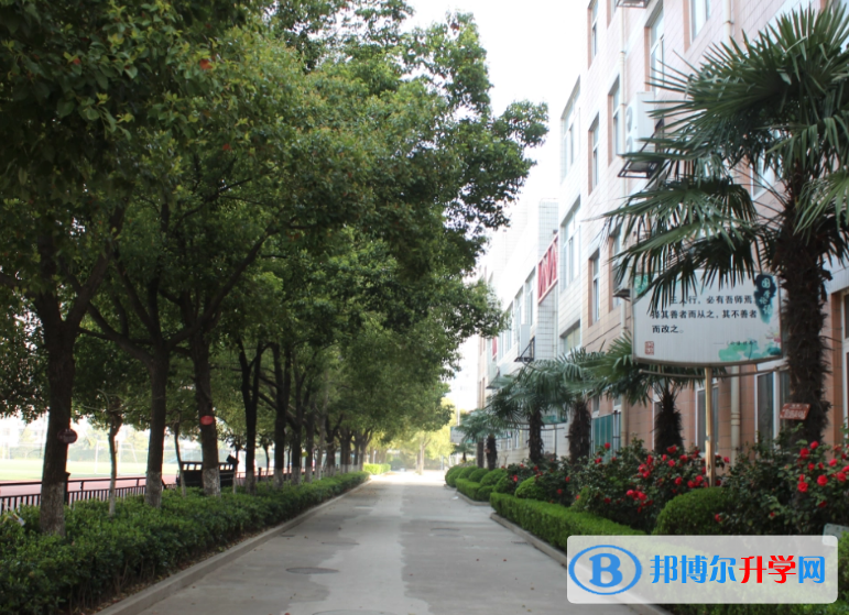 南京第二十九中學2023年網站網址