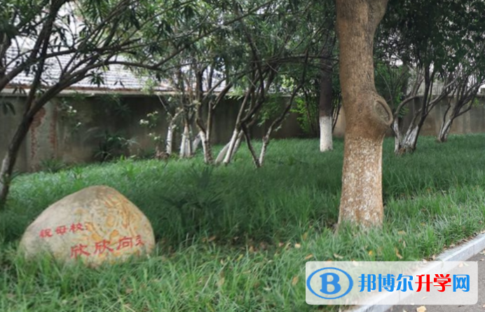 南京大廠高級中學(xué)2023年報(bào)名條件、招生要求、招生對象