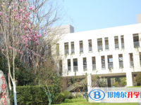 南京中華中學(xué)2025年招生計(jì)劃
