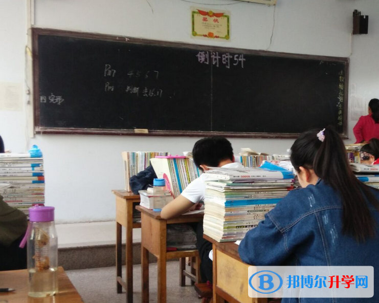 藁城第二中學2023年學費、收費多少