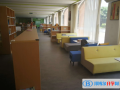 深圳道爾頓新華公學2023年入學考試