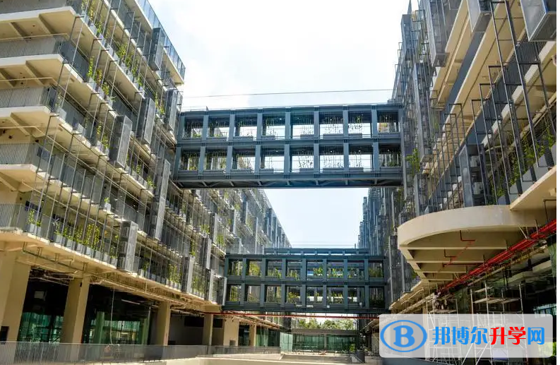 深圳國際交流學院2023年招生政策