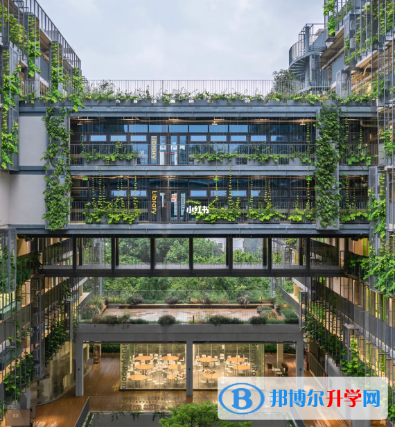 深圳國際交流學院2023年招生政策