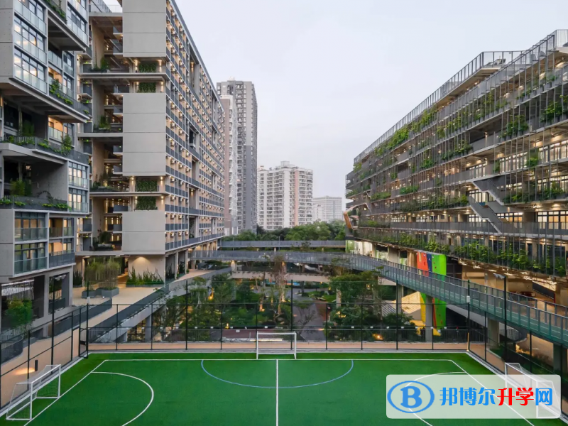 深圳國際交流學院2023年錄取分數線