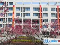 杭州余杭中學2023年招生錄取分數線
