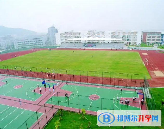 深圳桃源居中澳實驗學校2023年招生政策