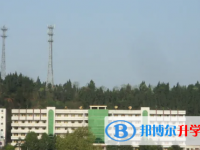 遂寧市三家中學(xué)2025年招生簡(jiǎn)章