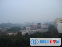 四川省蓬溪縣蓬南中學2025年學費、收費多少