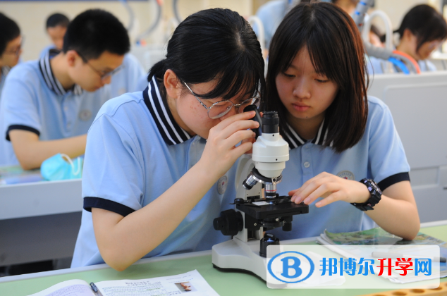 合肥第九中學2023年網站網址 