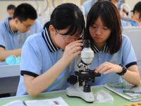 合肥第九中學網站網址主頁