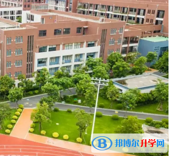 廣東碧桂園IB國際學校2023年入學條件
