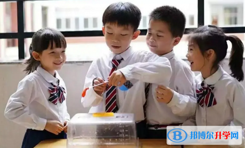 廣東碧桂園IB國際學校2023年錄取分數線