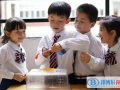 廣東碧桂園IB國際學校2023年錄取分數線