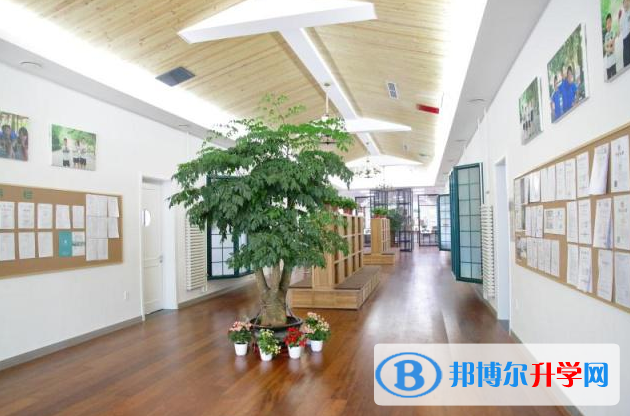 北京私立樹人·瑞貝學(xué)校2022年11月校園開放日免費(fèi)預(yù)約