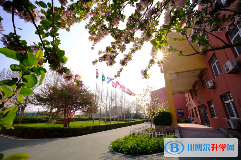 北京私立樹人學(xué)校瑞貝學(xué)校2022年11月校園開放日免費預(yù)約