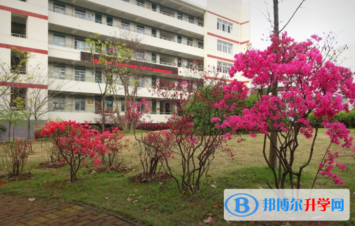 合肥第二中學2023年招生辦聯系電話 
