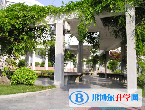 合肥第十中學2023年報名條件、招生要求、招生對象