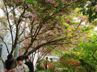 合肥第十中學網(wǎng)站網(wǎng)址主頁