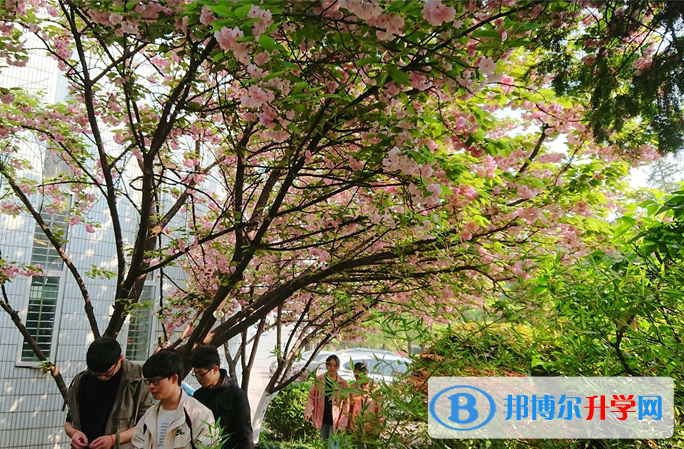 合肥第十中學2023年網站網址
