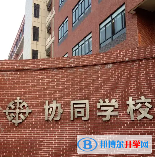 佛山協(xié)同國際學(xué)校2023年學(xué)費標(biāo)準(zhǔn)