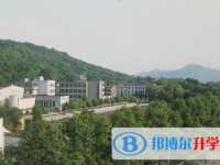 浙江大學附屬中學2025年招生簡章