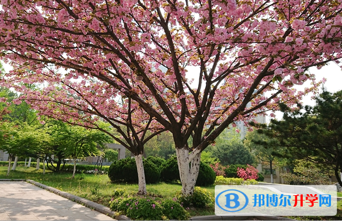 安徽廬江泥河中學(xué)2023年招生簡章 