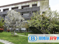 樂清市知臨中學(xué)2025年招生計(jì)劃