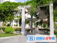 安徽肥東城關中學2025年招生代碼