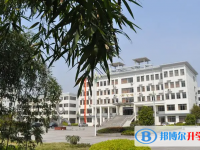 武漢私立高中學校有哪些(2025）