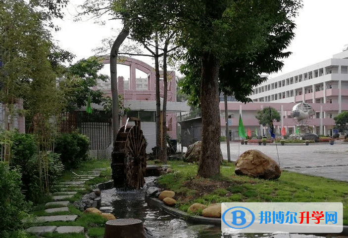 2022成都中考分數線（成都中考）