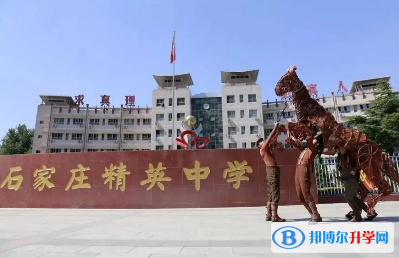石家莊精英中學2023年招生政策
