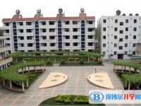 武漢市第六中學歷年分數線（2020—2022）