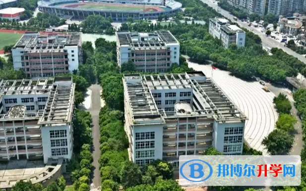 武漢四十九中2022分?jǐn)?shù)線是多少？