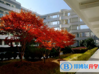 武隆縣白馬中學校怎么樣、好不好