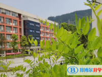 重慶市武隆中學2025年招生計劃