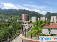 重慶市武隆中學(xué)2025年招生代碼