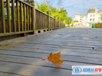 亳州蒙城第一中學(xué)2025年招生辦聯(lián)系電話